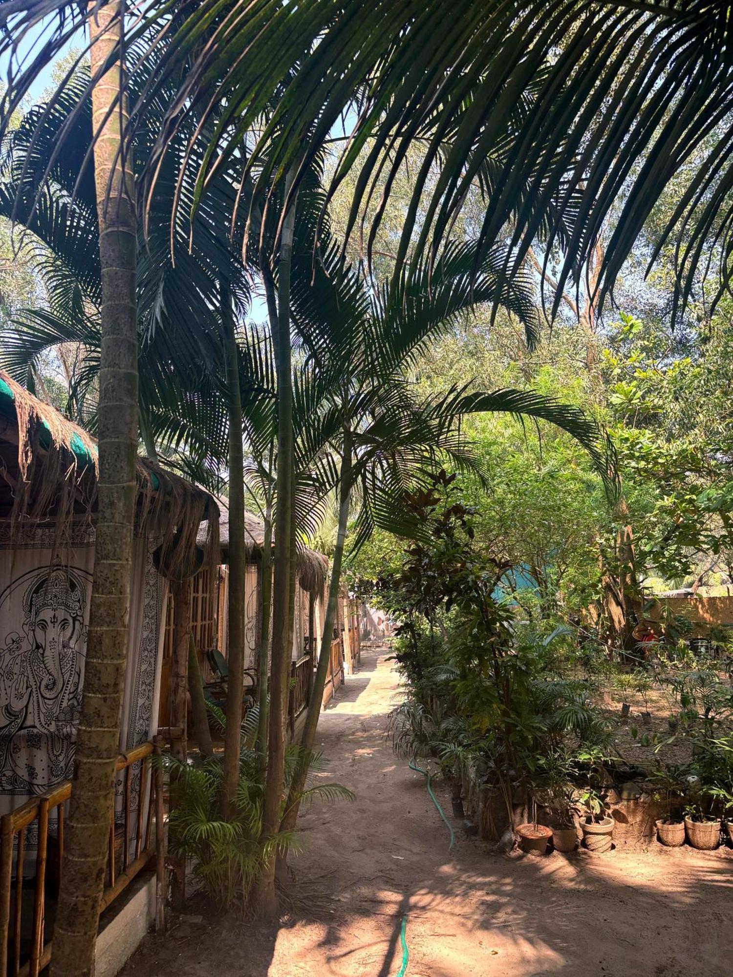 Yoga Culture Palolem Hotel Exterior photo